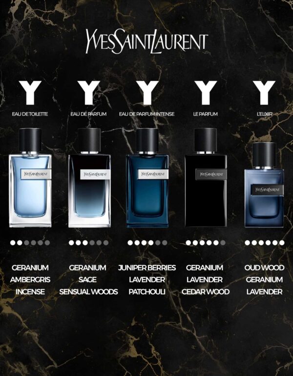 وای ایو سن لورن (Yves Saint Laurent Y)