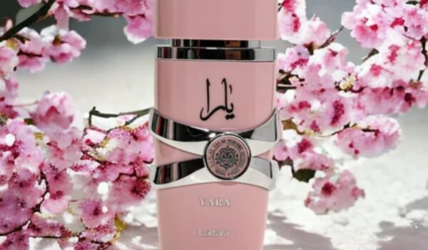 عطر یارا لطافه